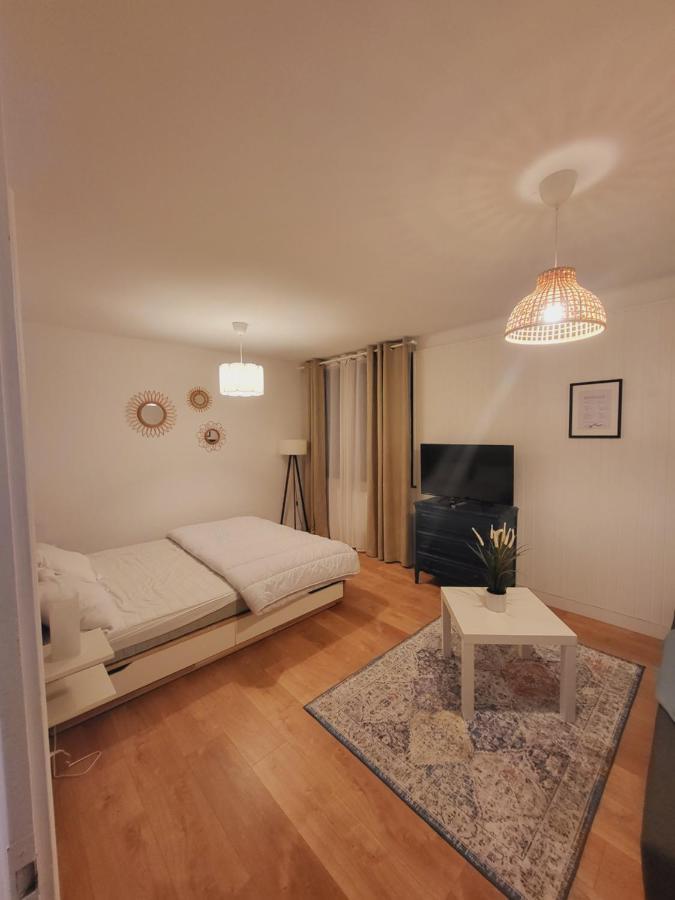 Appartement T1 Bis 35M2 Annecy Proche Centre Ville Refait En Decembre 2021 외부 사진